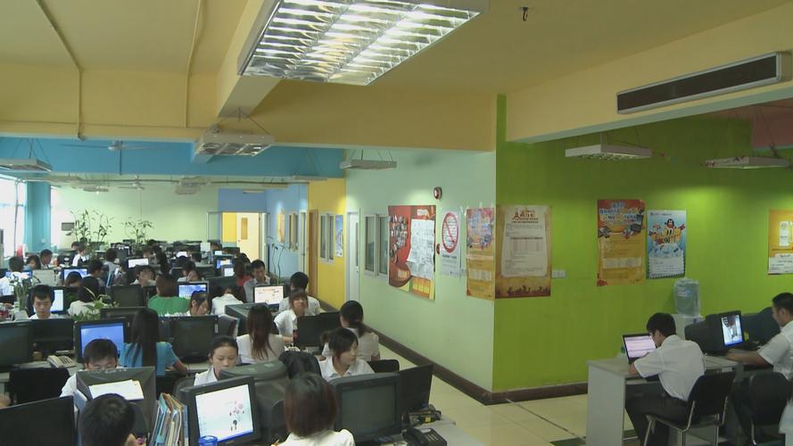 上海德搜信息技术有限公司 信息技术咨询服务领域的专业引领者