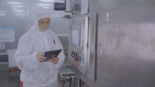 科技引领生产 黑湖科技与华为云携手，为蜡笔小新食品打造智慧工厂新标杆